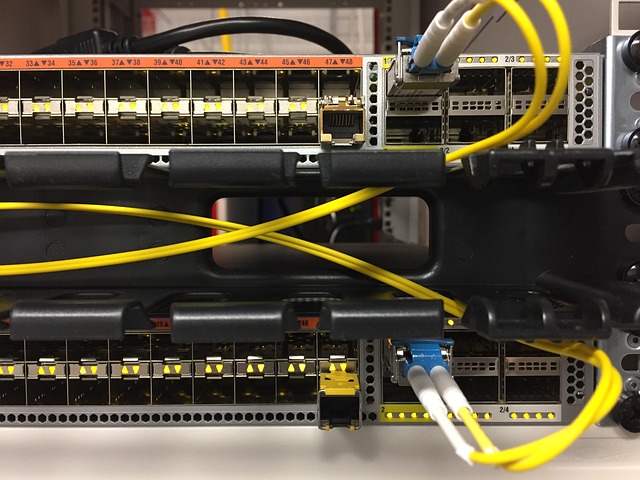 Switch Netzwerk
